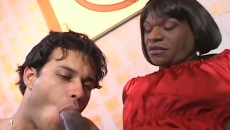 Ebony curvy black transsexual whore gets her black cock sucked well